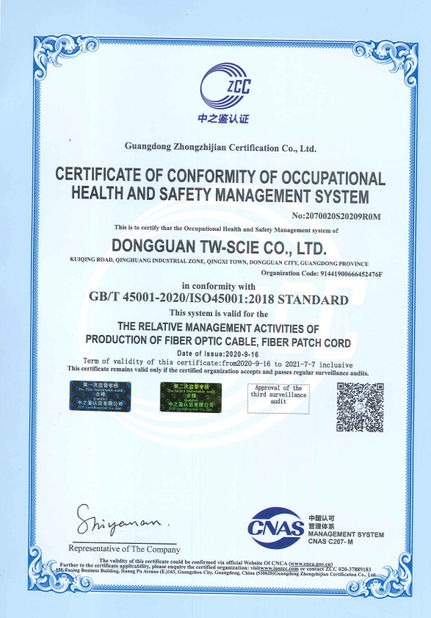 La CINA DONGGUAN TW-SCIE CO., LTD. Certificazioni